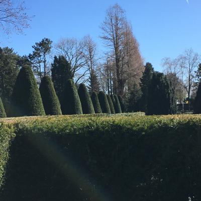 3.0🍂 Natuur van Vergankelijkheid: intro