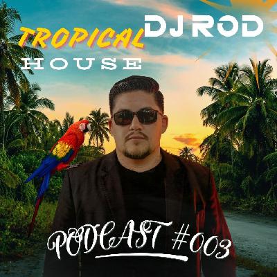 DJ Rodrigo Sipriano Feat. Lana Del Rey - Video Trantula (Mashup)