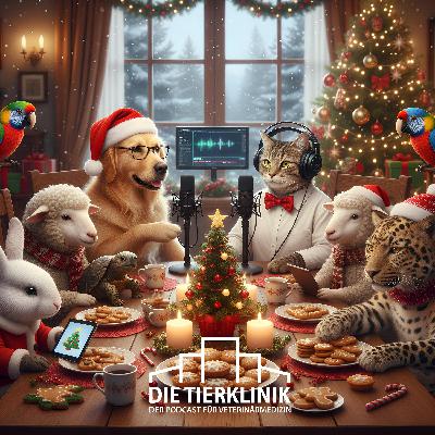 #33 Weihnachtsspecial: Unser Jahr in der Tierklinik