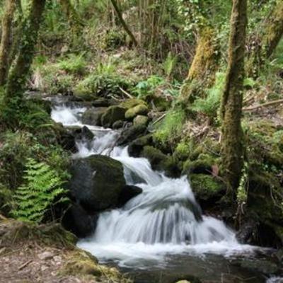 El Señor es tu ayudador - Meditación diaria