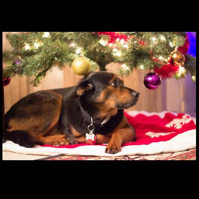 Holiday Hazards Part 1 of 3