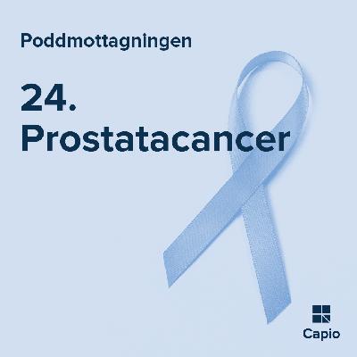 24. Prostatacancer 24. Prostatacancer