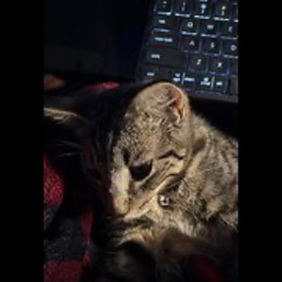 Episode 3004 CWSA 10/30/25