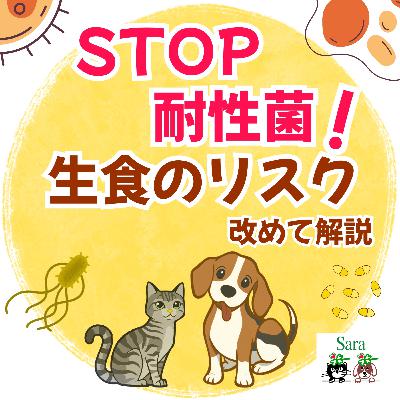 #1041. STOP耐性菌🍀生食のリスクについて改めて解説❗ 🐶🐱