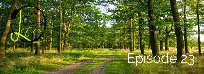 Episode 23 – The Law Of Attraction Principles Episode 23 – The Law Of Attraction Principles