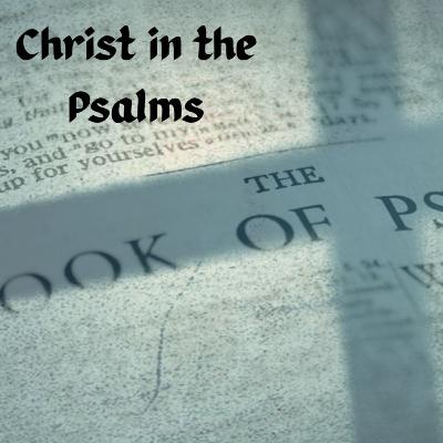 Psalm 13: Christ in the Psalms: Psalm of Disorientation