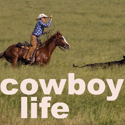 Tripp Townsend makes his living running  yearling calves near Earth, Texas
