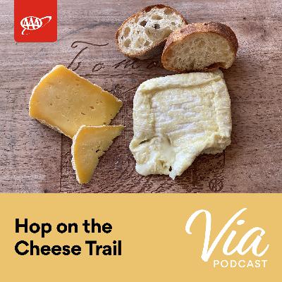 Hop on the Cheese Trail: Views, Moos, and One Cheesy Scandal