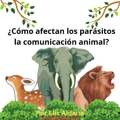 ¿Cómo afectan los parásitos la comunicación animal?