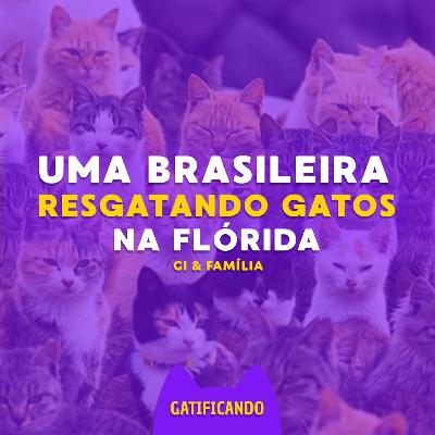 Ela chegou a ter mais de 30 gatos em casa. Gatificando #42