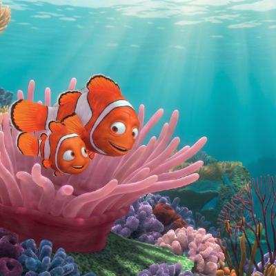 🌊 El Largo Viaje de Regreso a Casa 🐠 Valorar al diferente