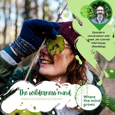 THE WILDERNESS MIND: In Conversation with Jon Conradi of Wild Mosaic THE WILDERNESS MIND: In Conversation with Jon Conradi of Wild Mosaic