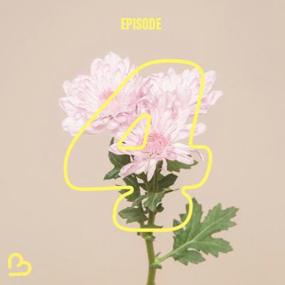 Episode 4 : les raisons de la cocasserie du pet