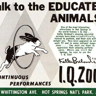 Struggle Cast Xtra: The IQ Zoo and the CIA