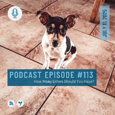 #113 - How Many Litters Should You Have?