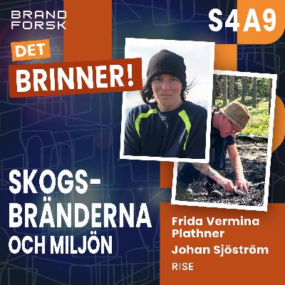 S4 A9 - Skogsbränderna och miljön
