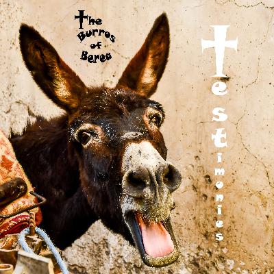 Episode 265- Testimonies- Pastor Sara Wilcox- Following Where The Spirit Leads Episode 265- Testimonies- Pastor Sara Wilcox- Following Where The Spirit Leads