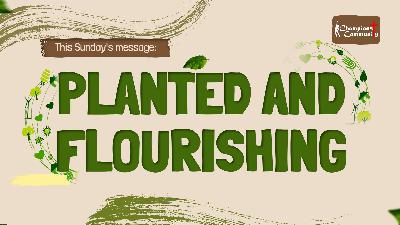 Planted and Flourishing - Audio
