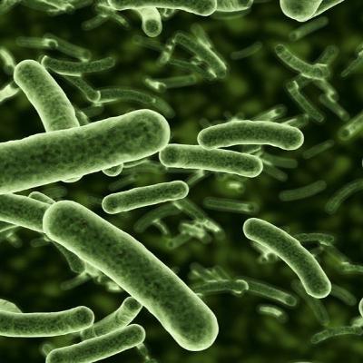 Towards a more nuanced view of the human microbiome: pathogens and evolution Towards a more nuanced view of the human microbiome: pathogens and evolution