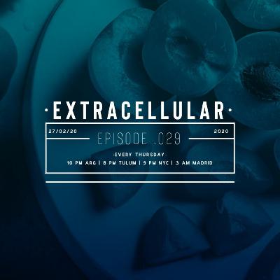 Extracellular / Episode 029 / 27-Feb-2020