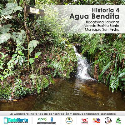 Historia 4 / Agua Bendita