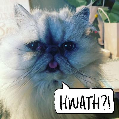 51: All of your Electrifying 51: All of your Electrifying