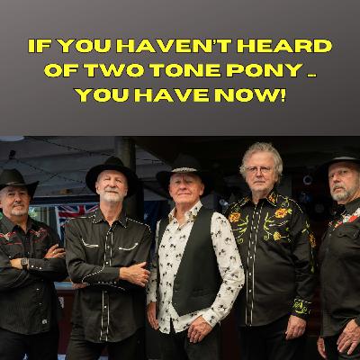If you haven’t heard of Two Tone Pony … you have now!