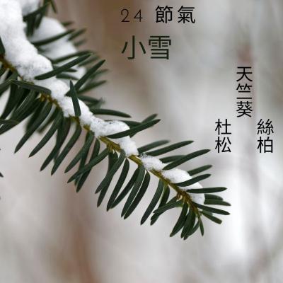 讓精油說故事 24節氣小雪