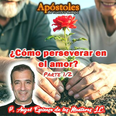 ¿Cómo perseverar en el amor? (Parte 1/2) - Padre Angel Espinosa de los Monteros L.C.