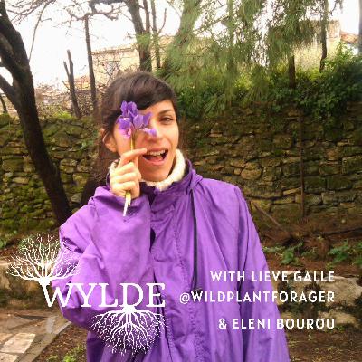 #19 Herbalism in Greece with Eleni Bourou