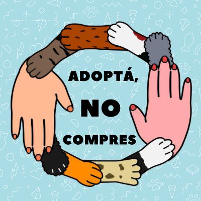 Adoptá, no compres :) Charla en vivo en el #FestivalLadoH