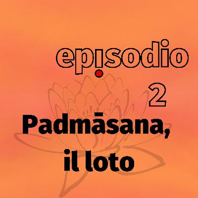 Padmāsana, il loto