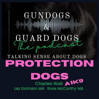 S6E7 Do Gundogs need Guard Dogs?