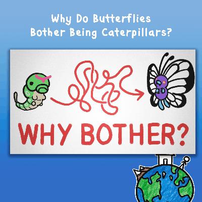 Why Do Butterflies Bother Being Caterpillars?