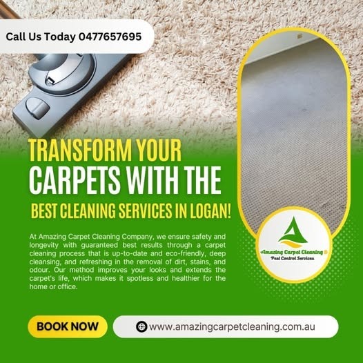 Transform Your Carpets with the Best Cleaning Services in Logan