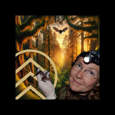 Northern Latitudes: Cori Lausen - Echoes in the Dark (Bats)