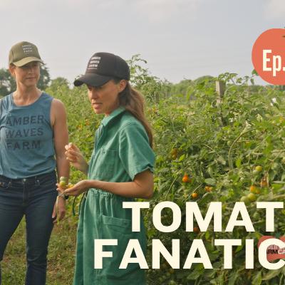 EP 05 Why We Grow 50 Types of Tomatoes