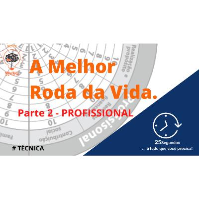 Técnica da MELHOR Roda da Vida - Profissional - parte 2