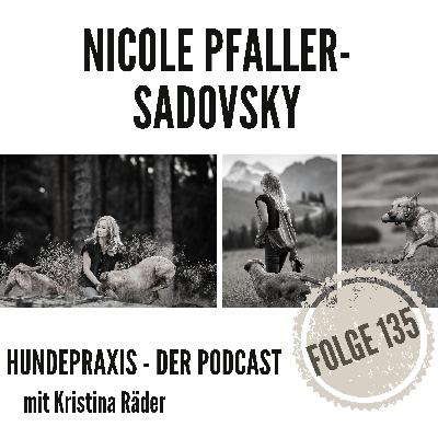 Stopppfiff für die Dummyarbeit - Nicole Pfaller-Sadovsky phd