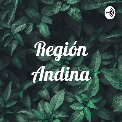 Los bailes 🕺 típicos de la región andina