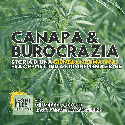 Canapa & burocrazia. Con Giuseppe L'Abbate