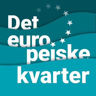 S9 E56 – EØS-midlene: Fra europapolitikk til europeisk kunnskapssamarbeid
