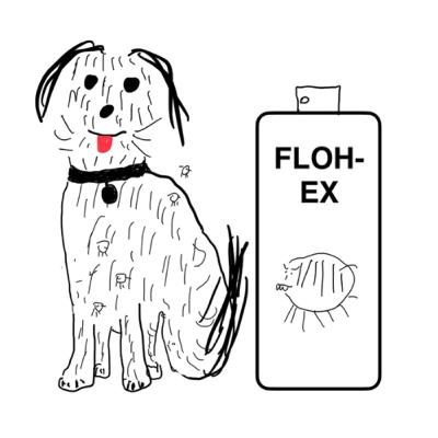 Flöhe! Kleine Besucher im Fell