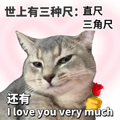 最浪漫的中式英语节目|How to fall in love with your crush？