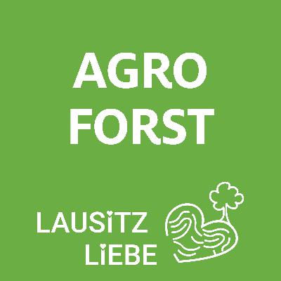 #23 Agroforst - Wo der Wald die Felder küsst