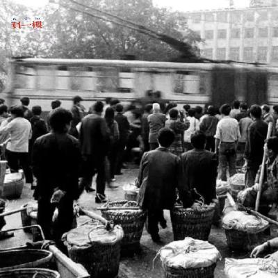 Res15.寒露夜难眠-南彭信用社抢劫杀人案