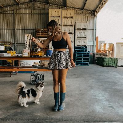 Zwischen Küche, Staub und Schafen. Zwischen Küche, Staub und Schafen.