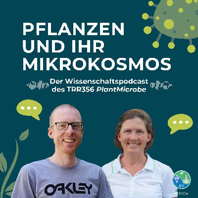 #6 Kleines ganz groß: Welche Rolle spielt Elektronenmikroskopie in der Pflanzenforschung? - Mit Prof. Dr. Andreas Klingl