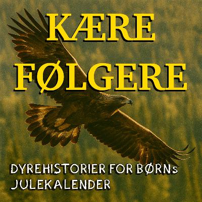 Kære følgere ... Kære følgere ...