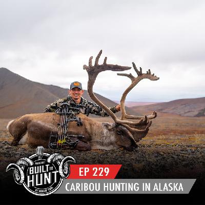 EP 229: Caribou Hunting in Alaska